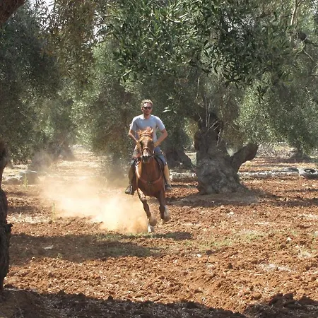 Country house Antica Masseria Carparelli